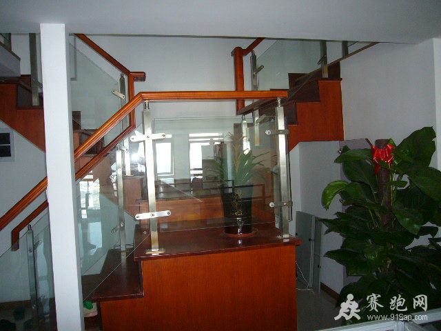 P1040509.JPG