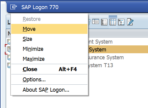 2022-10-26 15_51_45-SAP Logon 770.png